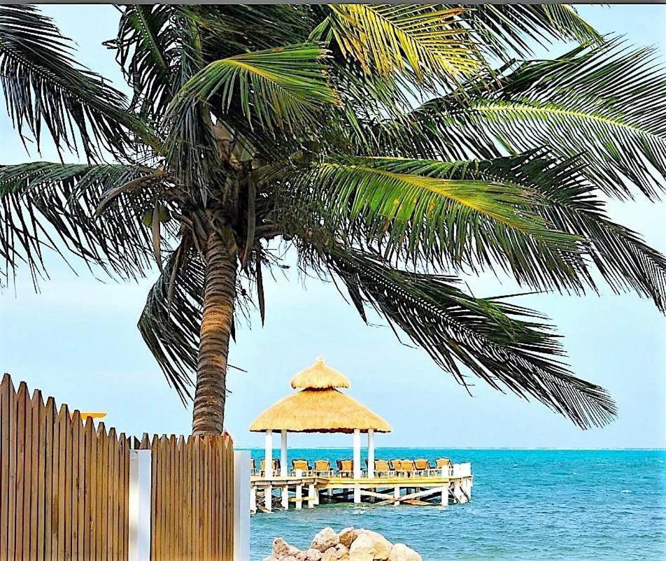 Velento Partial Ocean View Penthouse #7 Villa Caye Caulker Exterior photo